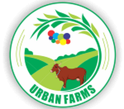 Urban Farms A2 milk Pune