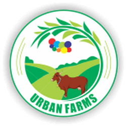 Urban Farms A2 milk Pune