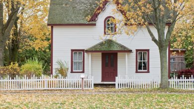 Photo of Lawn and House Curb Appeal Ideas
