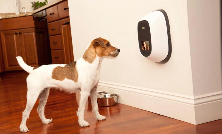 Gadgets to Make your Pet’s Home Life Easier