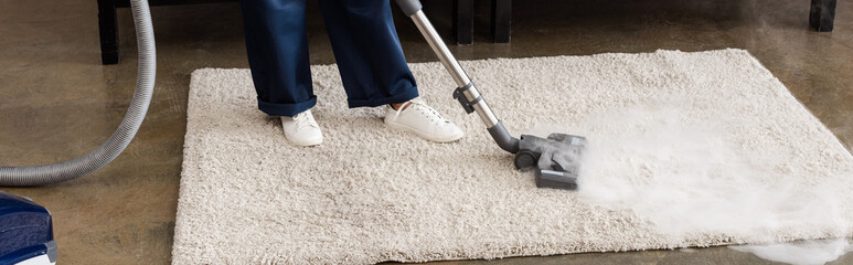 the Home Carpet Cleaning