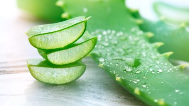 Photo of Are Aloe Vera Supplements Healthy? What You Need to Know