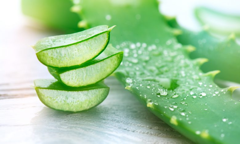 aloe vera supplements