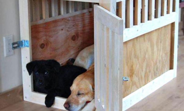 dog crate cage
