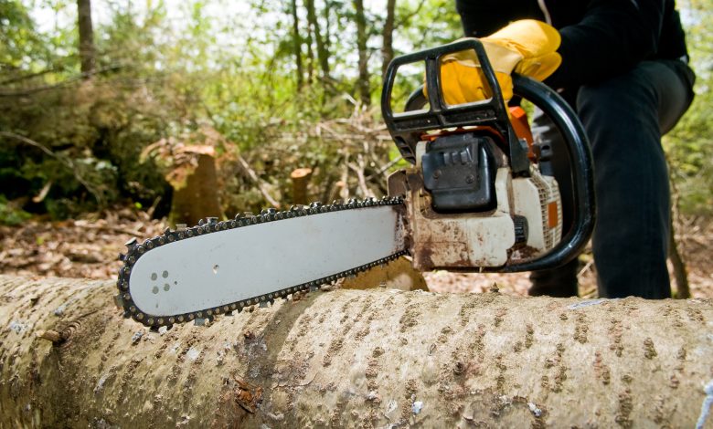 tree removal service