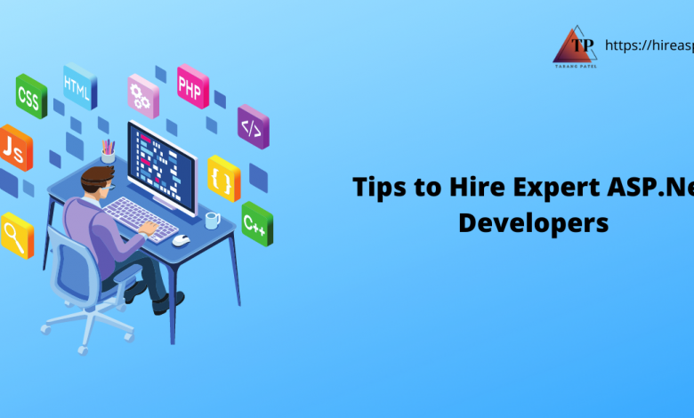 hire .net developer
