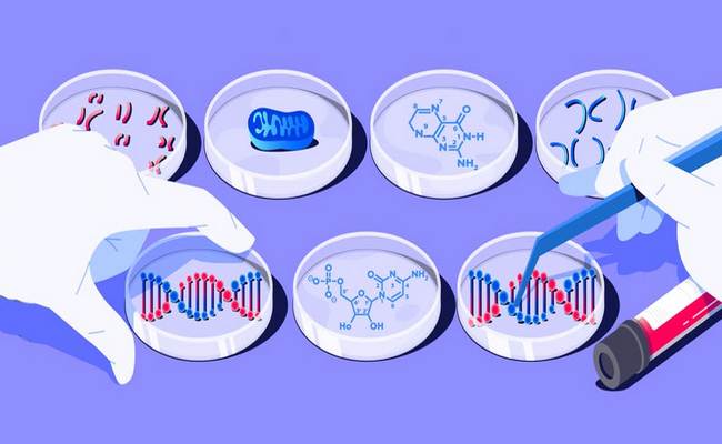Genetic Testing