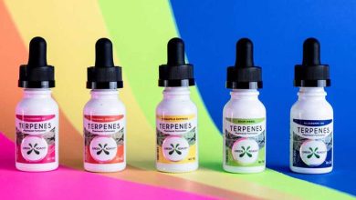 Photo of What is Terpenes CBC Tincture?