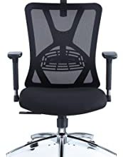 Top Best Applied Science Chairs for Health