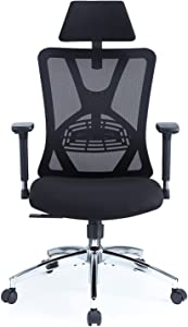 Top Best Applied Science Chairs for Health