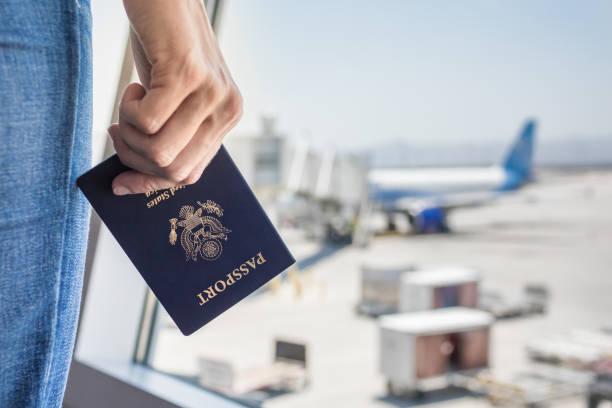 immigration consultancy services