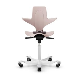 Top Best Applied Science Chairs for Health