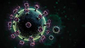 new variant of covid-19