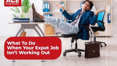 Photo of What to do when your expat job isn’t working out?