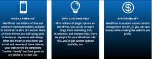 WordPress Website Design Pakages 