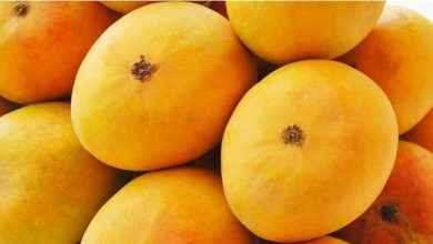 Photo of Organic Mango