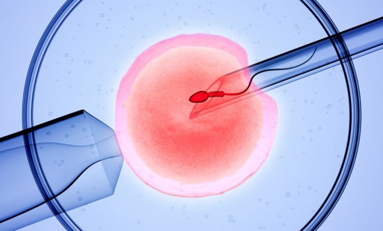 ivf