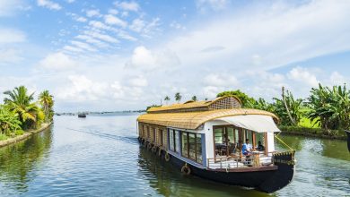 Places to visit in Alleppey