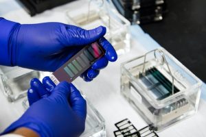 DNA Genotyping and Sequencing. A technician at the Cancer Genomics Research Laboratory, part of the National Cancer Institute's Division of Cancer Epidemiology and Genetics (DCEG), washes arrays used in genome-wide association studies (GWAS). These studies search the genome for small variation