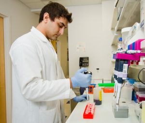 A male scientist in a laboratory pipetting protein reagent into eppendorf tubes