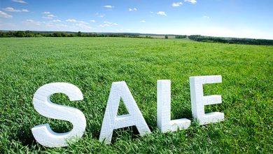 Photo of Buying land made easy!