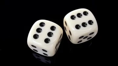 dice game