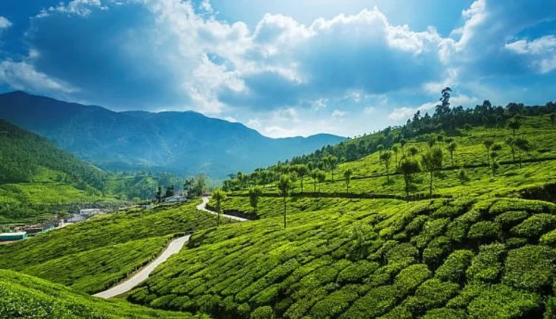 Best Places To Visit In Kerala