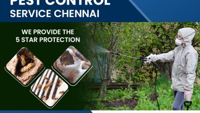 Pest Control Services in Chennai