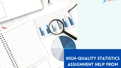 High-Quality Statistics Assignment Help from Expert Writers