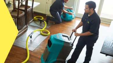 Photo of All You Need to Know about Water Damage and Restoration