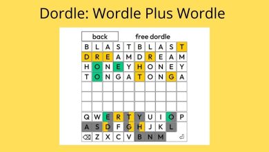 What Should You Know About Dordle?