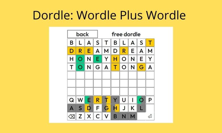 What Should You Know About Dordle?