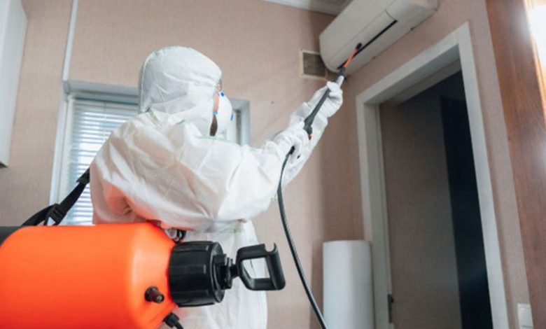 pest removal services