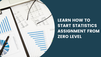 Learn How To Start Statistics Assignment From Zero Level