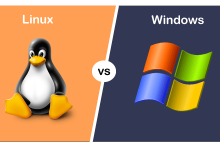 Linux Dedicated Hosting 