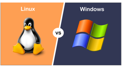 Linux Dedicated Hosting 