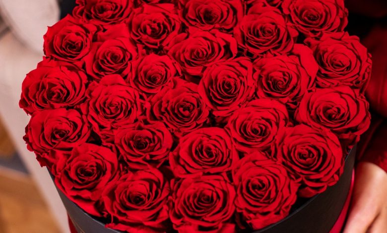 Red Roses