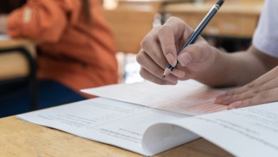 How are dissertations different from other assignments