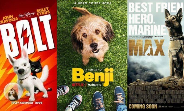 The Most Beautiful and Most Admressive Hollywood Animal Movies