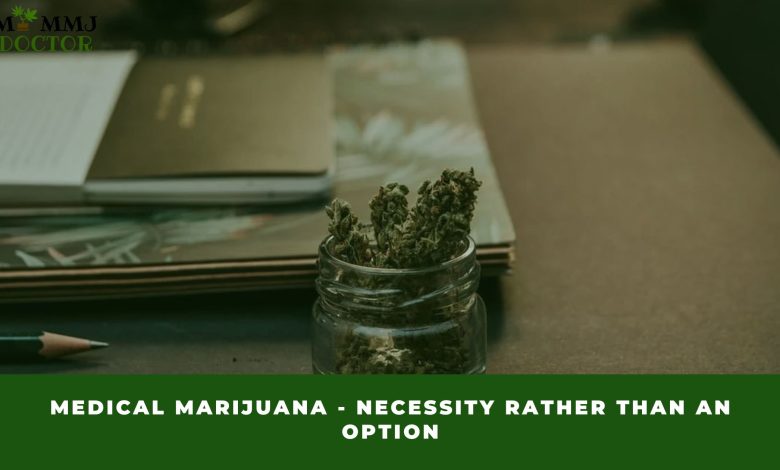 Medical Marijuana - Necessity Rather Than an Option