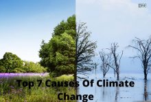 Top 7 Causes Of Climate Change | Daily Nature Facts