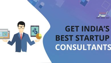 Startup Consultant Service in India