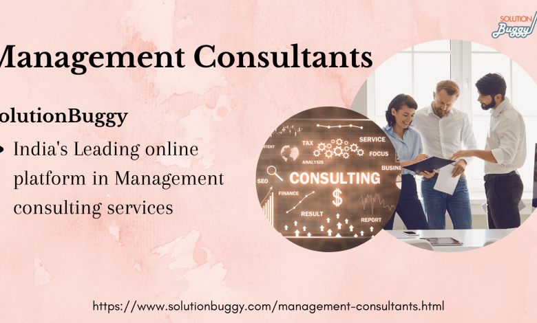Management Consultants