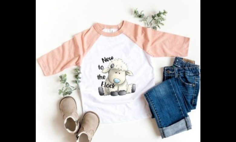 toddler raglan shirt