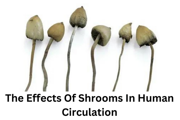 Shrooms