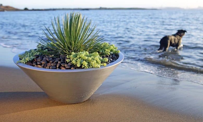 Wholesale Planters