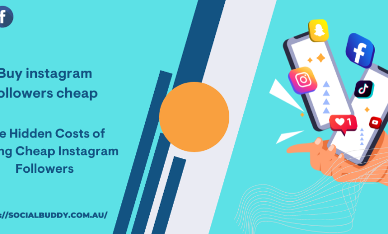 The Cost of Cheap Instagram Followers