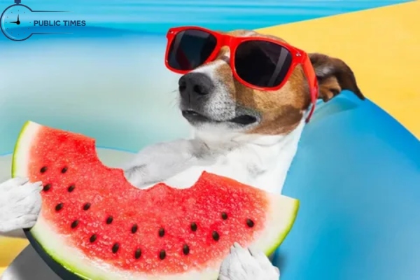 Can Dogs Eat Watermelon And Cantaloupe
