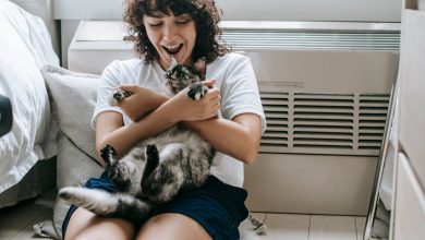 Why Does My Cat Have Extra Fur on Her Belly Causes & Care Explained